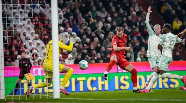 1738970533008050194.jpg 1738970217030.jpg